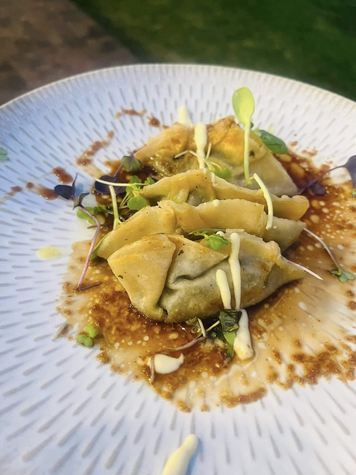 Hand-folded dumplings with brown butter and micro herbs on a textured plate